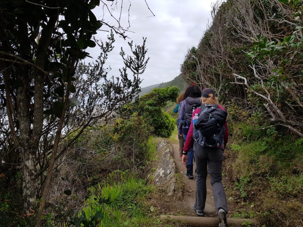 Tsitsikamma Waterfall Trail