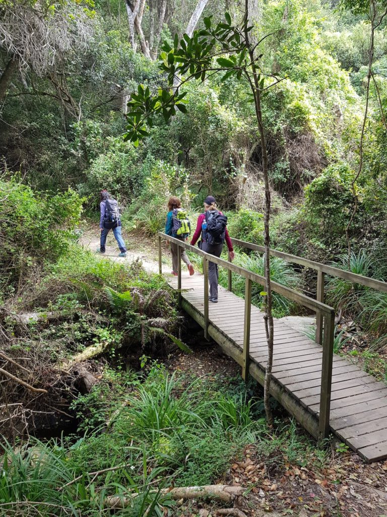 Tsitsikamma Waterfall Trail