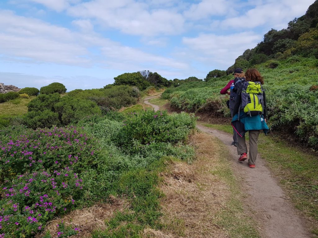 Tsitsikamma Waterfall Trail