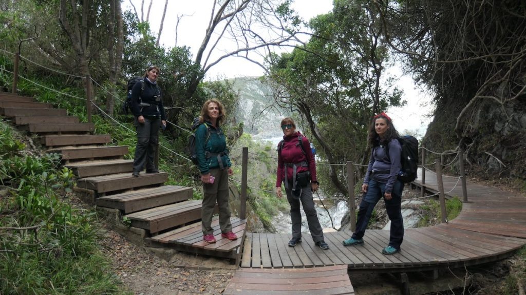 Tsitsikamma Mouth Trail