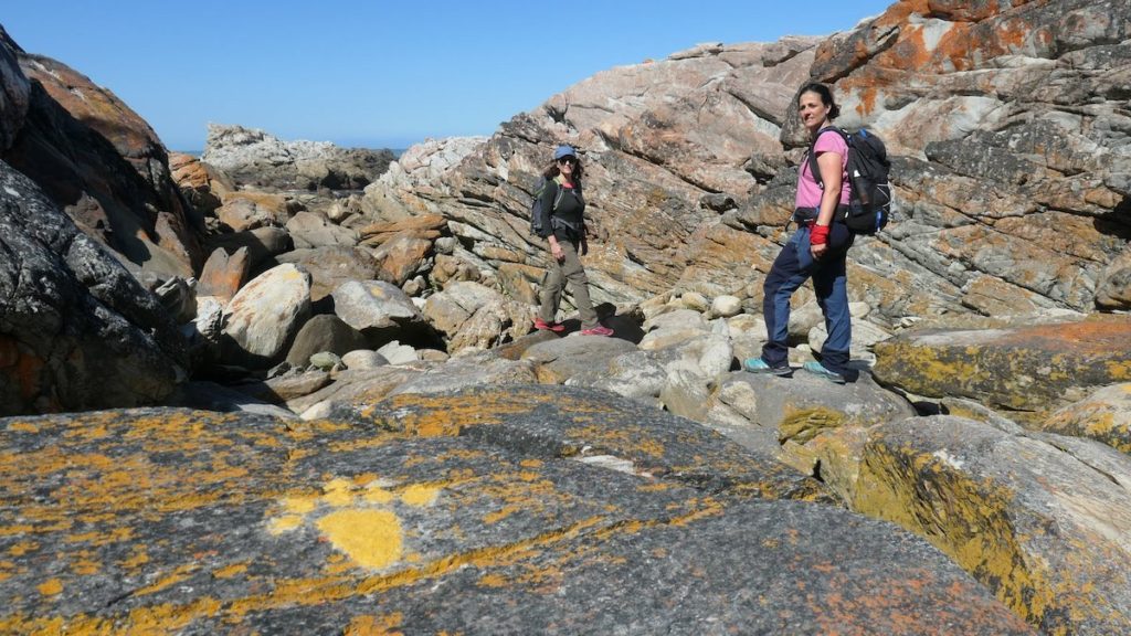 Tsitsikamma Waterfall Trail