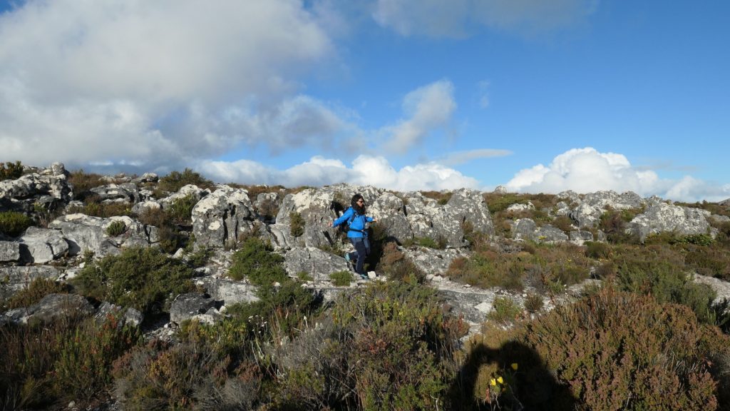 table_mountain_ciudad_del_cabo