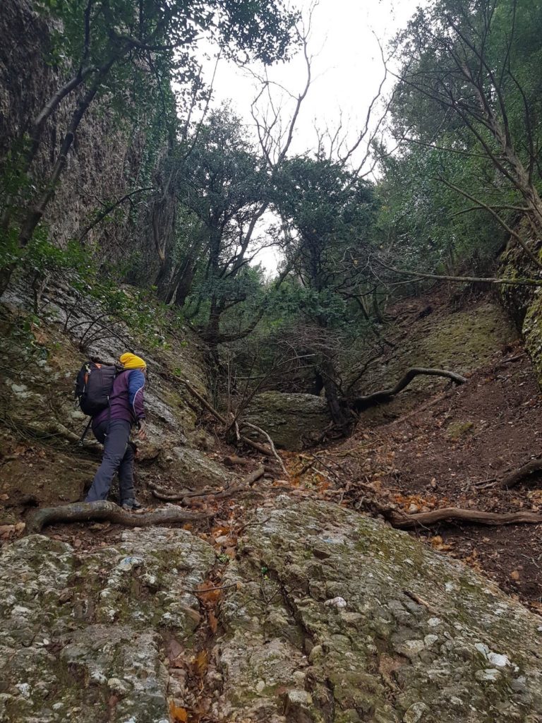 rutas-por-montserrat