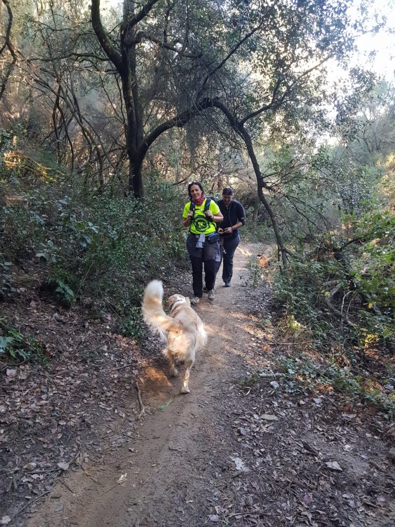 ruta-prehistorica-bosc-magic-la-roca-del-valles