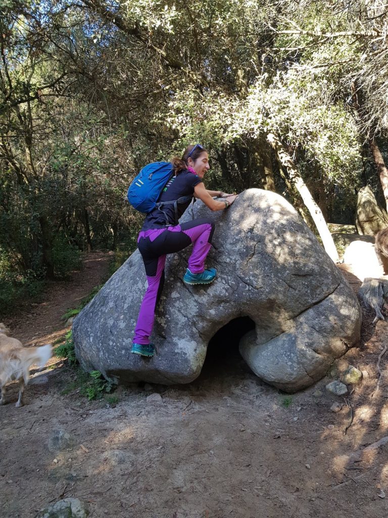 ruta-prehistorica-bosc-magic-la-roca-del-valles