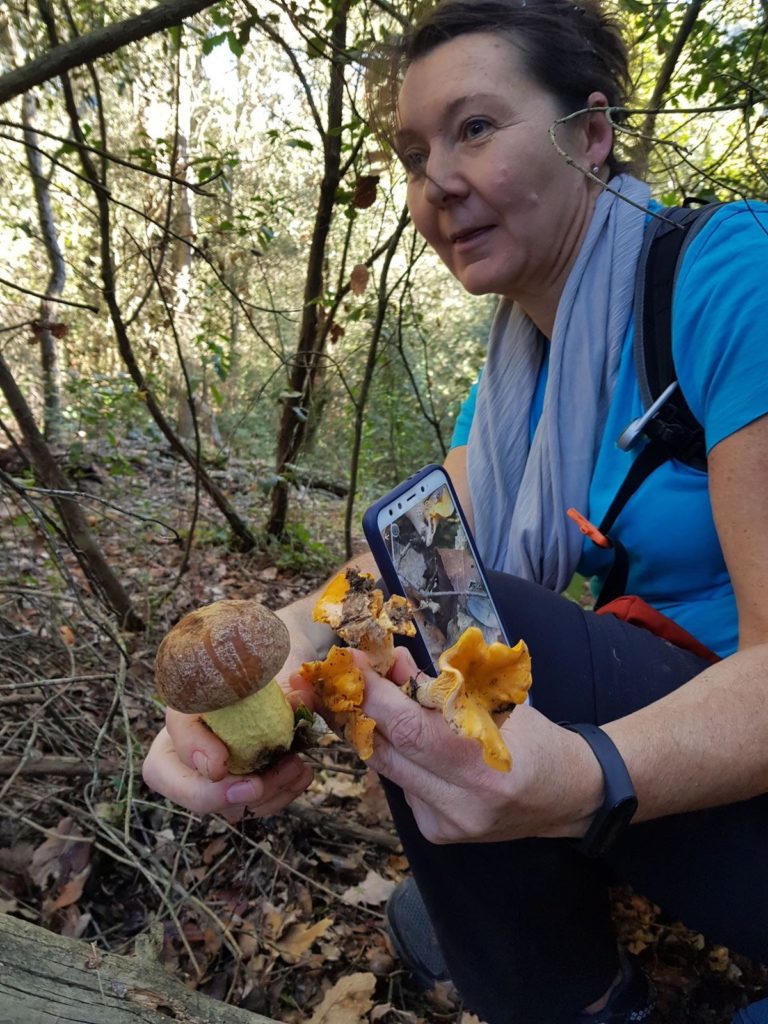 ruta-prehistorica-bosc-magic-la-roca-del-valles