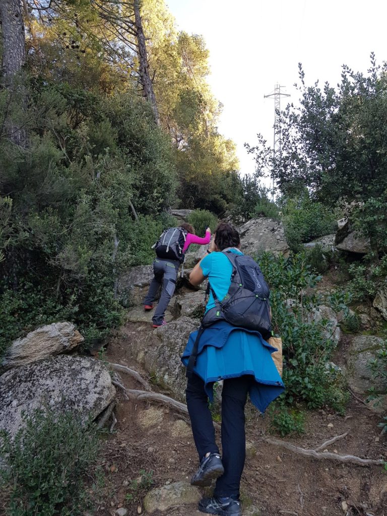 ruta-prehistorica-bosc-magic-la-roca-del-valles