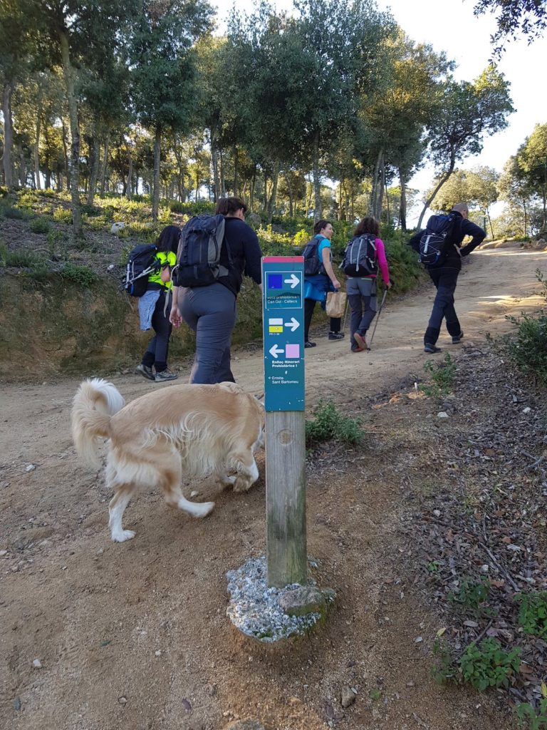 ruta-prehistorica-bosc-magic-la-roca-del-valles