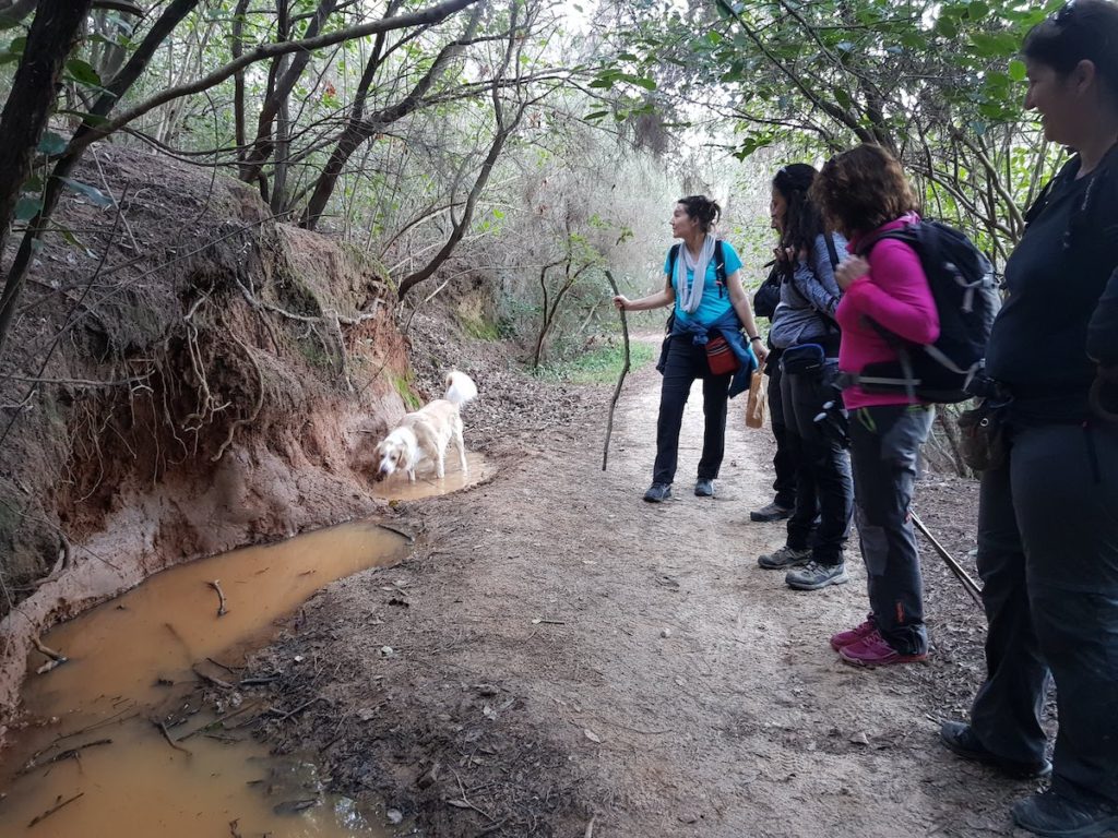 ruta-prehistorica-bosc-magic-la-roca-del-valles