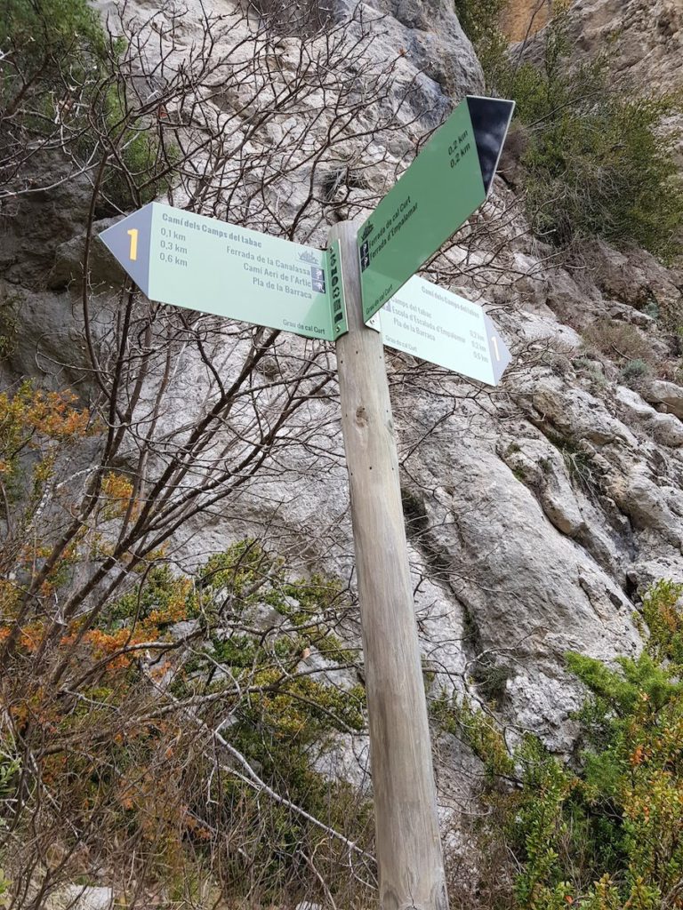 via-ferrata-cal-curt-vallcebre