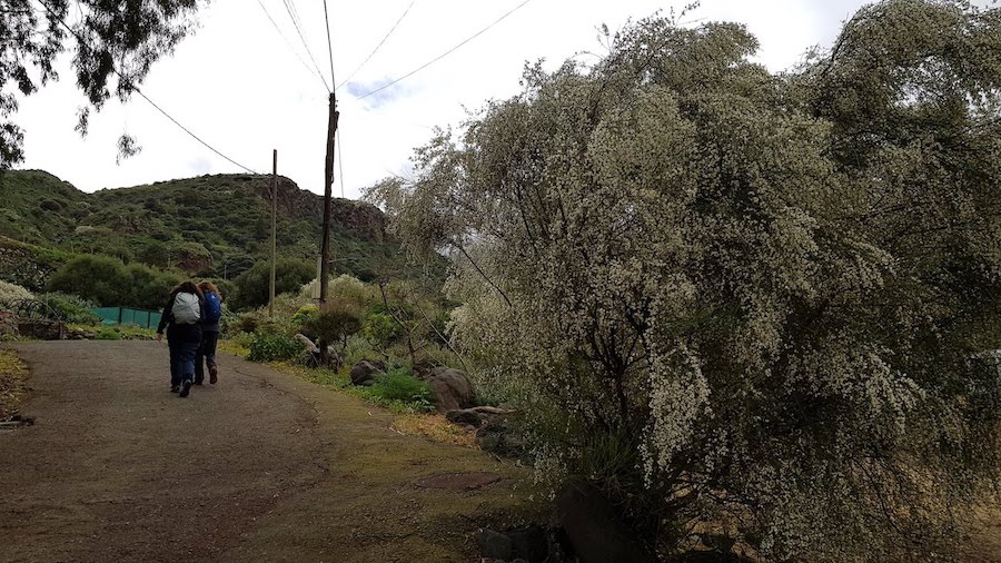 ruta-perfil-barranco-de-los-cernicalos