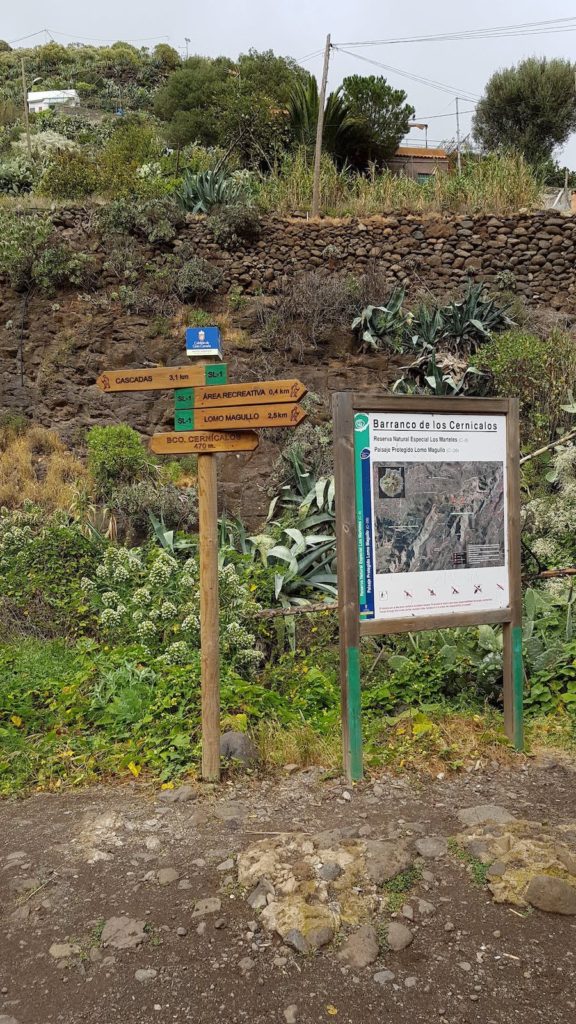 ruta-perfil-barranco-de-los-cernicalos