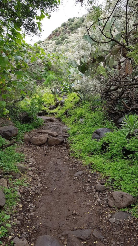 ruta-perfil-barranco-de-los-cernicalos