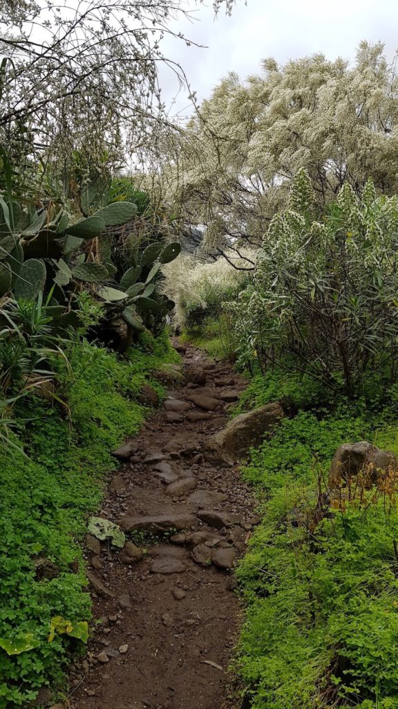 ruta-perfil-barranco-de-los-cernicalos