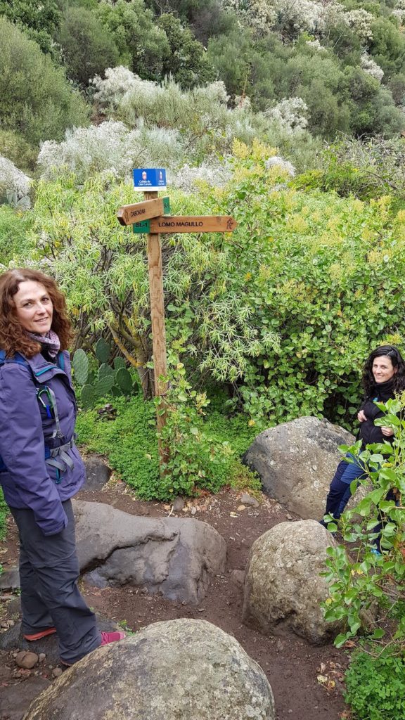 ruta-perfil-barranco-de-los-cernicalos