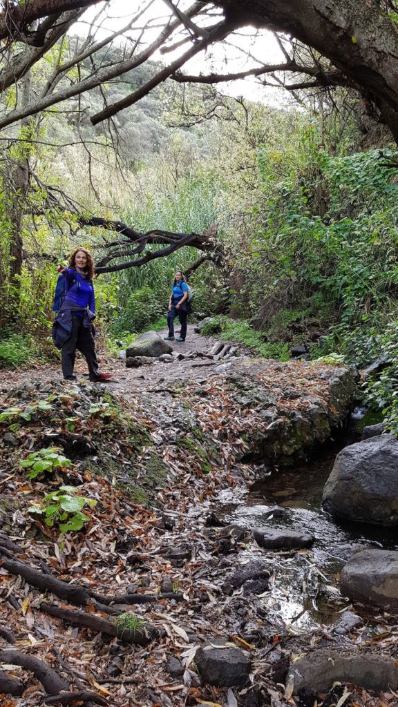 ruta-perfil-barranco-de-los-cernicalos-gran-canaria