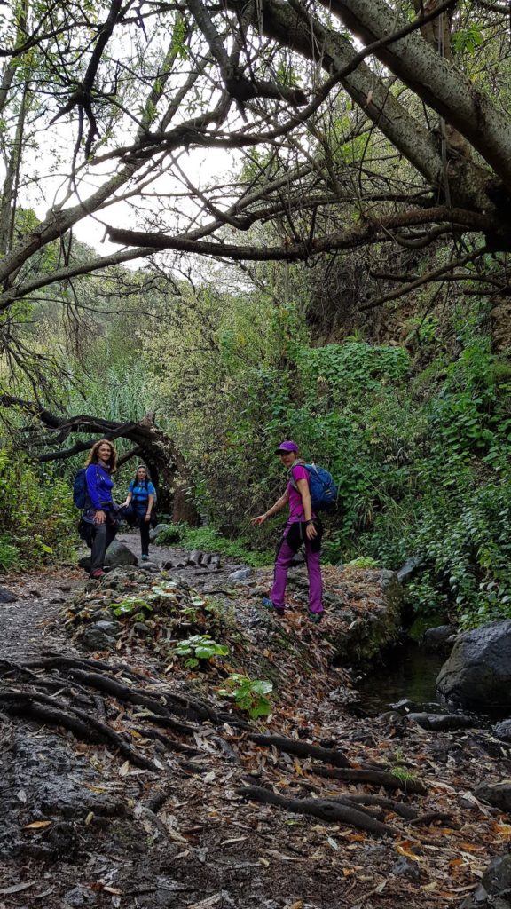 ruta-perfil-barranco-de-los-cernicalos-gran-canaria