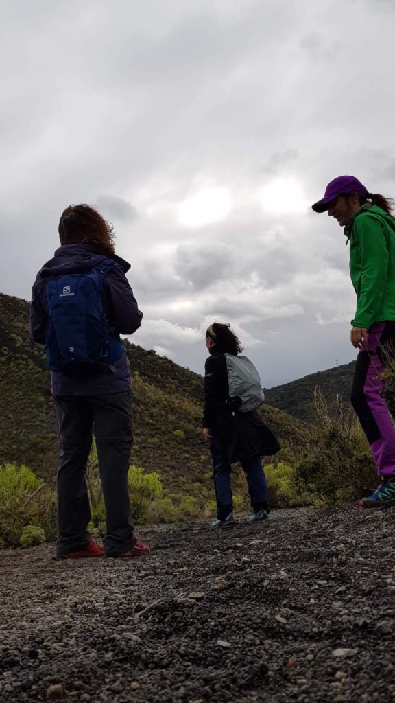 caldera-de-bandama-en-gran-canaria