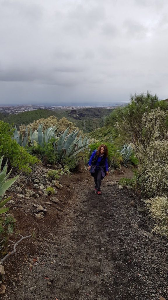 caldera-de-bandama-en-gran-canaria