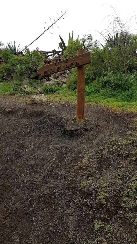 caldera-de-bandama-en-gran-canaria