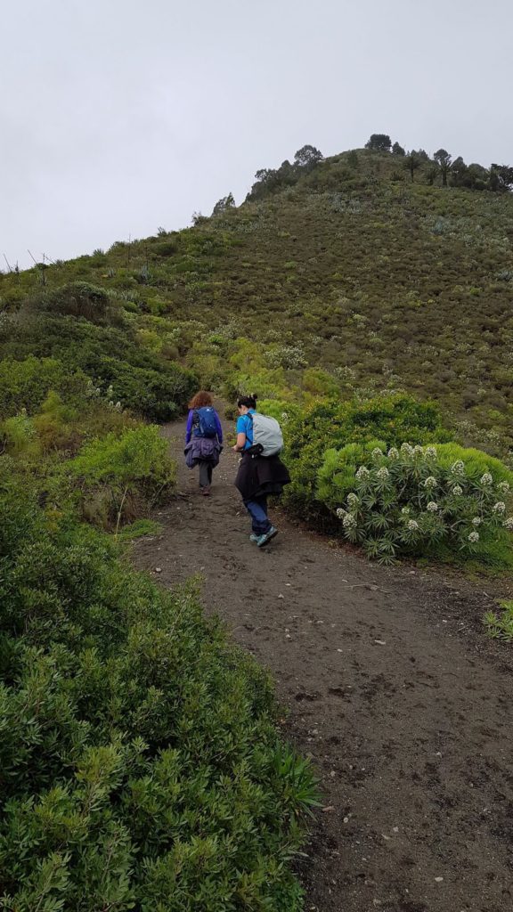 caldera-de-bandama-en-gran-canaria