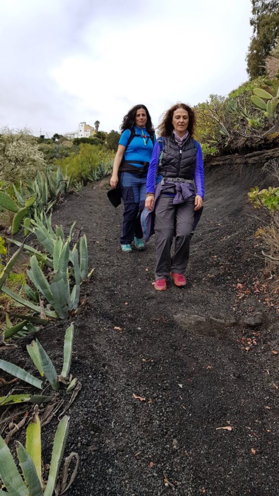 caldera-de-bandama-en-gran-canaria