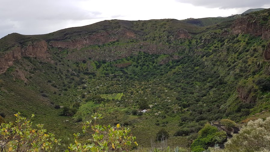 caldera-de-bandama-en-gran-canaria