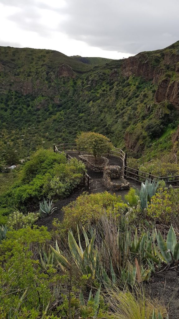 caldera-de-bandama