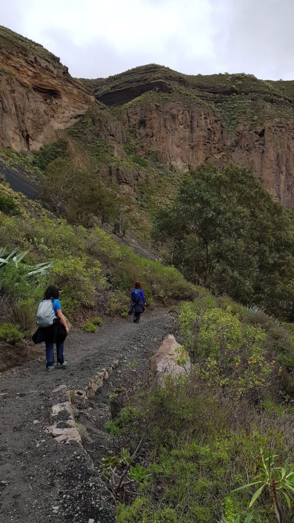 caldera-de-bandama