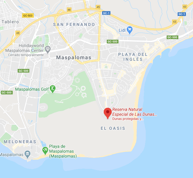 como-llegar-dunas-de-maspalomas