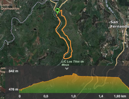 itinerario-los-tilos-de-Moya-barranco-gran-canaria