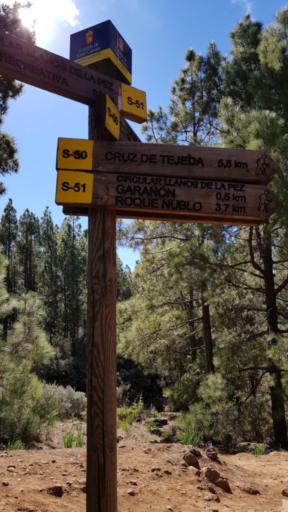 roque-nublo-desde-los-llanos-de-la-pez