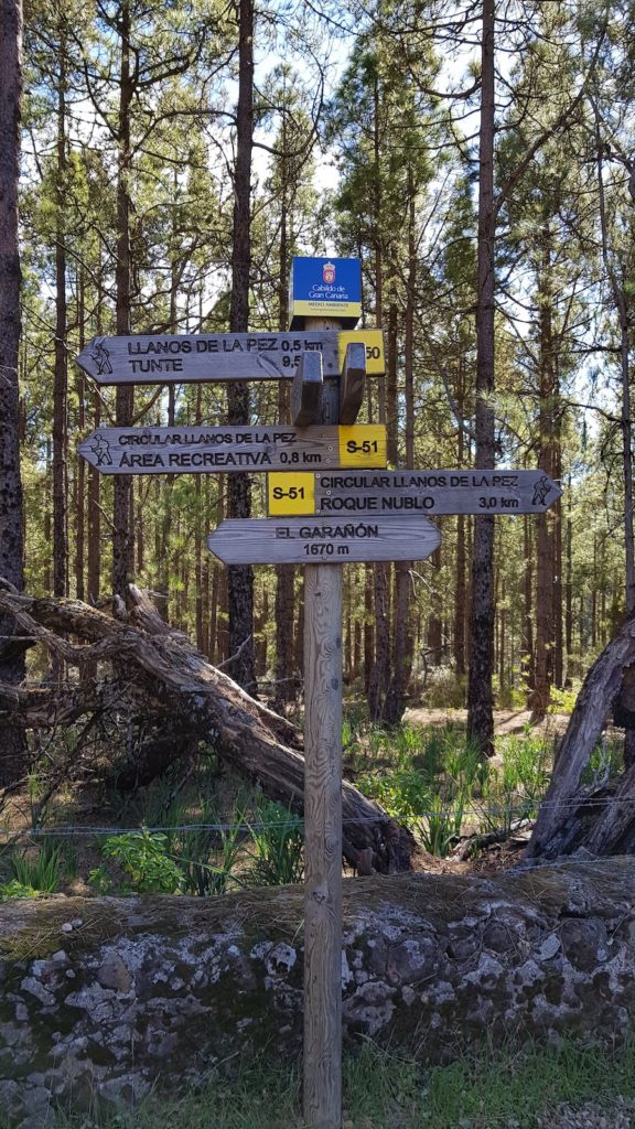 roque-nublo-desde-los-llanos-de-la-pez