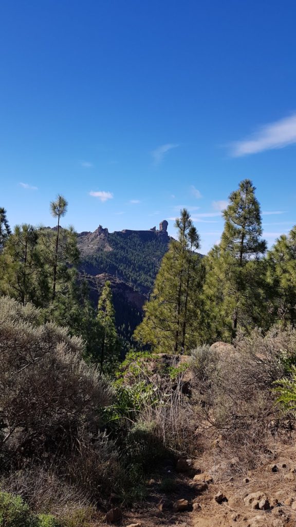 roque-nublo-desde-los-llanos-de-la-pez