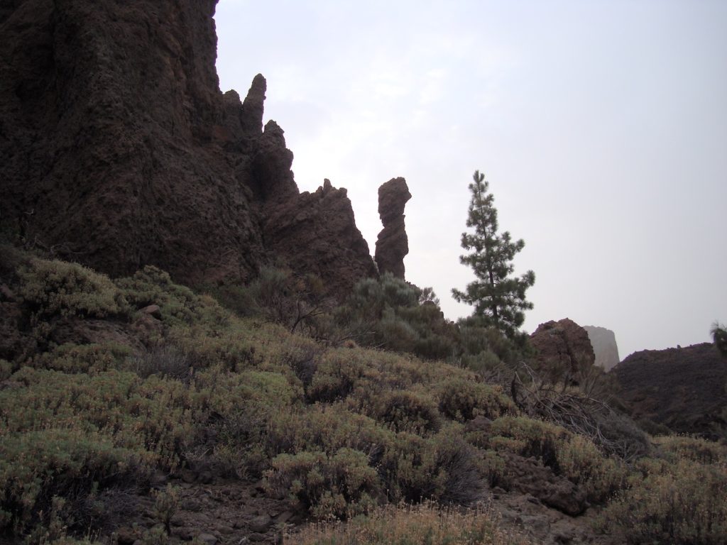 sendero-18-chavao-tenerife