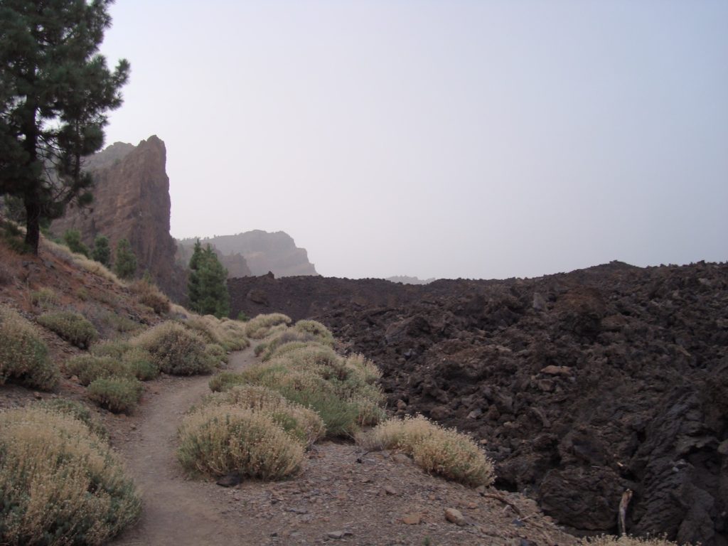 sendero-18-chavao-tenerife