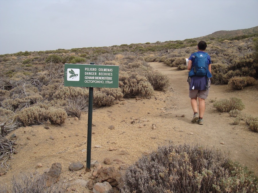 sendero2-arenas-negras-tenerife