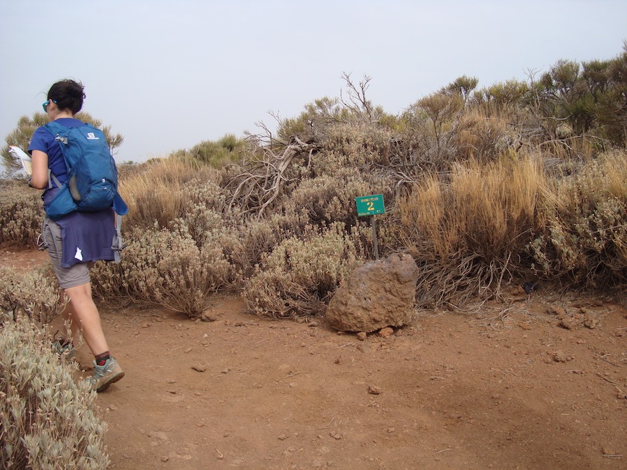 sendero2-arenas-negras-tenerife