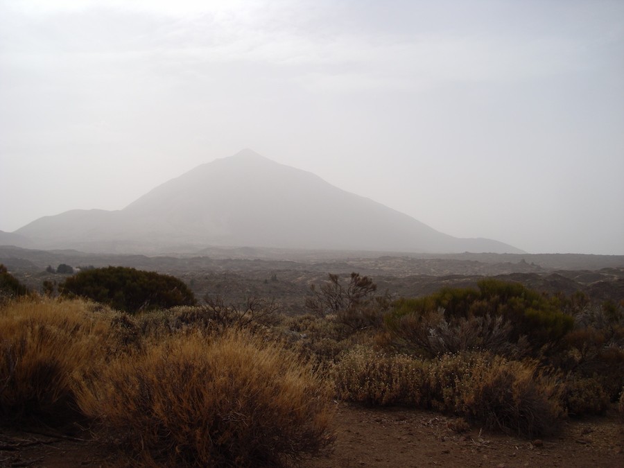 sendero2-arenas-negras-tenerife