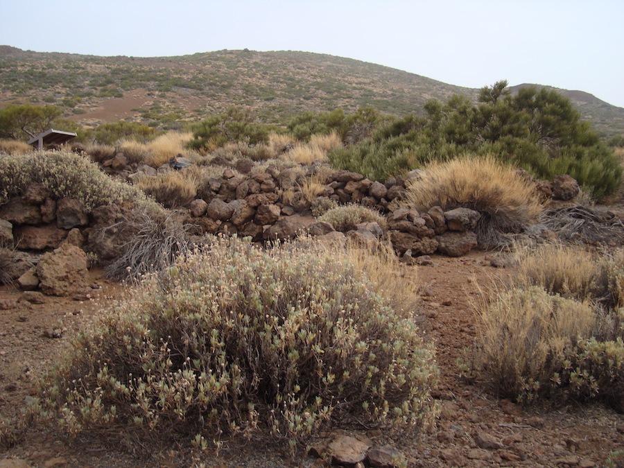 sendero2-arenas-negras-tenerife