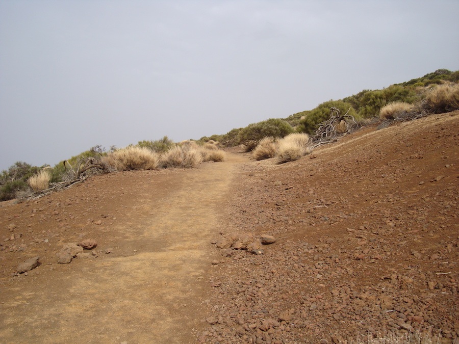 sendero2-arenas-negras-tenerife