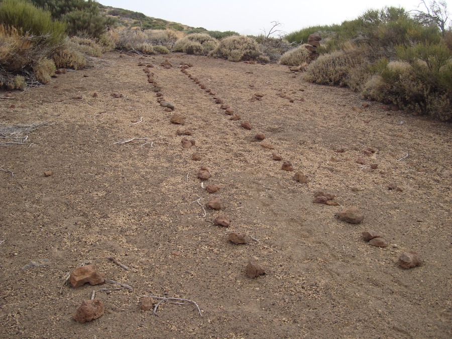 sendero2-arenas-negras-tenerife