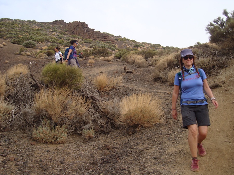 sendero2-arenas-negras-tenerife