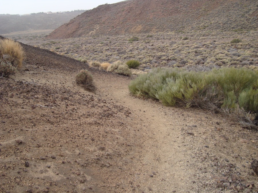 sendero2-arenas-negras-tenerife