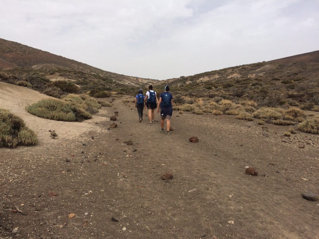 sendero-20-volcan-de-fasnia