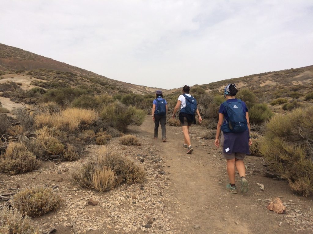 sendero-20-volcan-de-fasnia