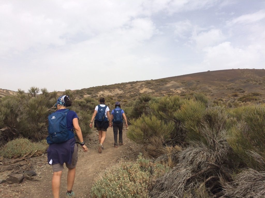 sendero-20-volcan-de-fasnia