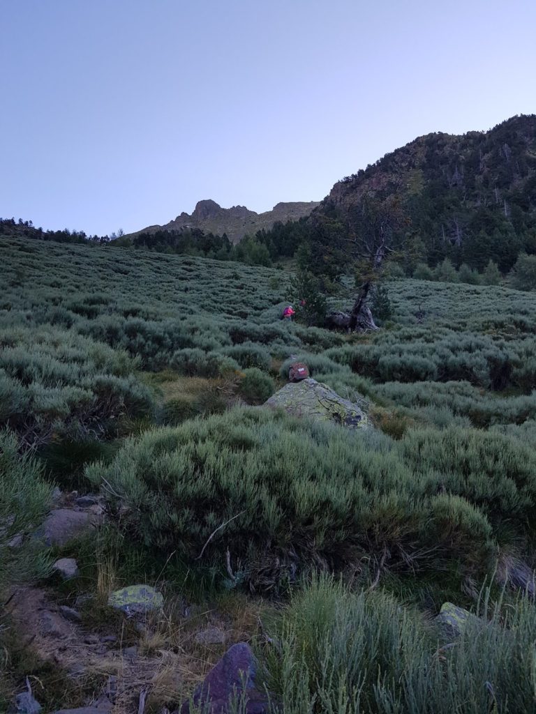 pico-baborte-desde-la-molinassa