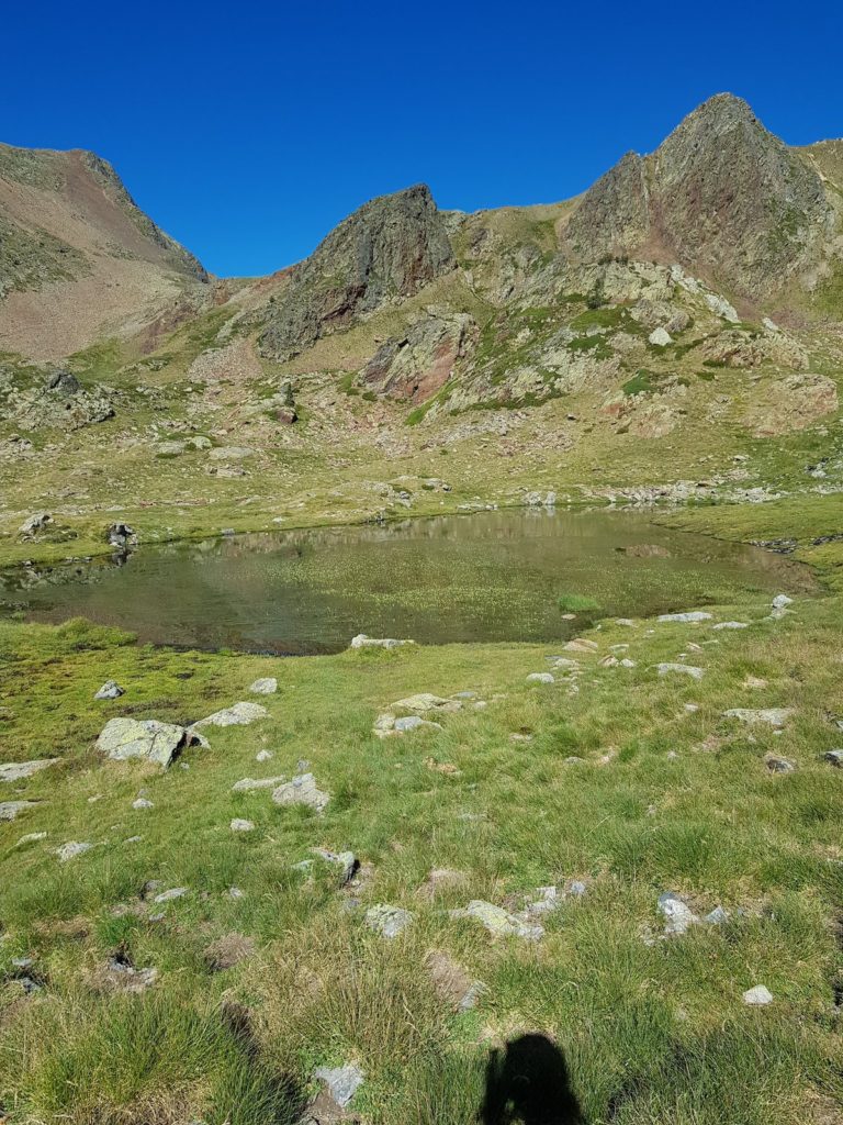 pico-baborte-desde-la-molinassa