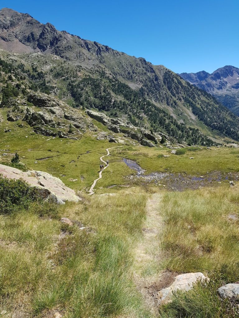 pico-baborte-desde-la-molinassa